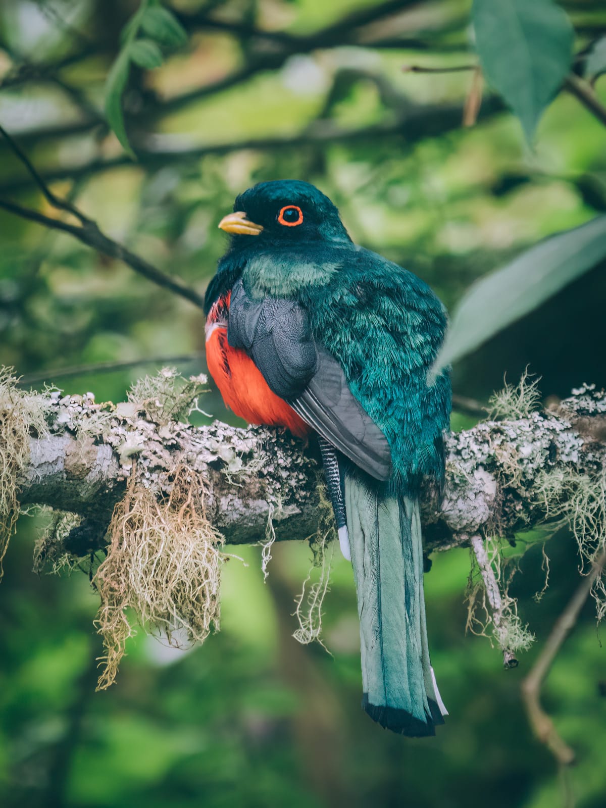Circuit 10 jours en Colombie, intensément