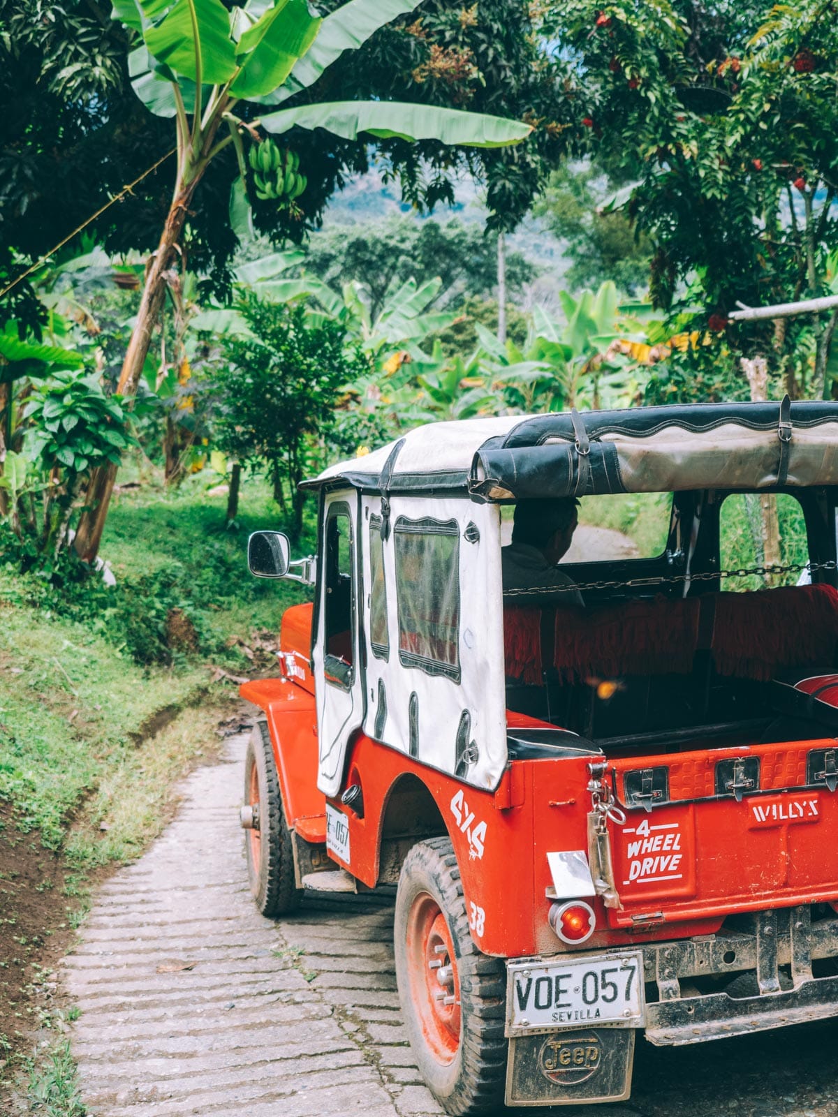 Circuit 10 jours en Colombie, intensément