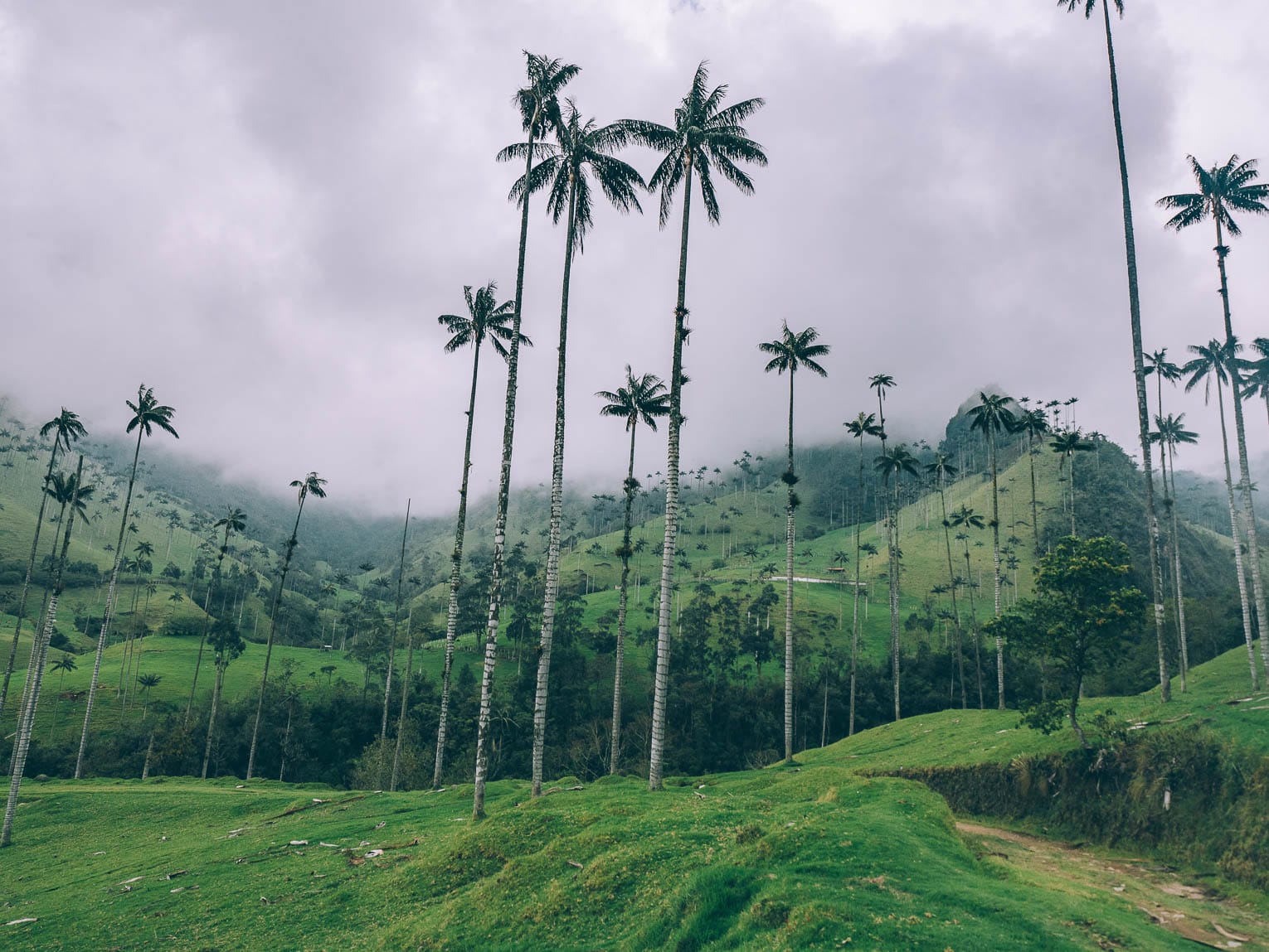 Circuit Colombie 3 semaines, les classiques